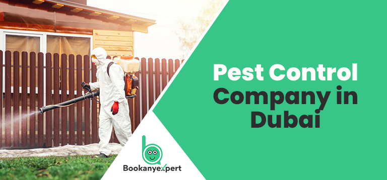 Get Rid of Pests by Hiring Pest Control Company in Dubai – Book Any Expert